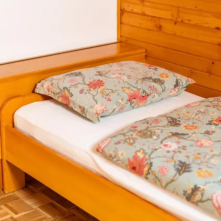 Apartmaji Lipa דירה