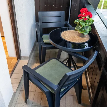 Apartmaji Lipa * בוהין