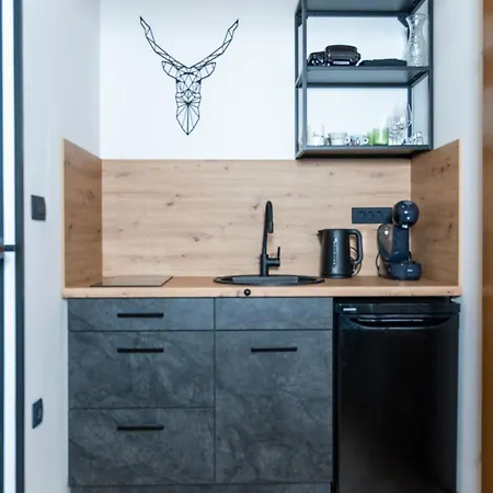 Apartmaji Lipa דירה בוהין